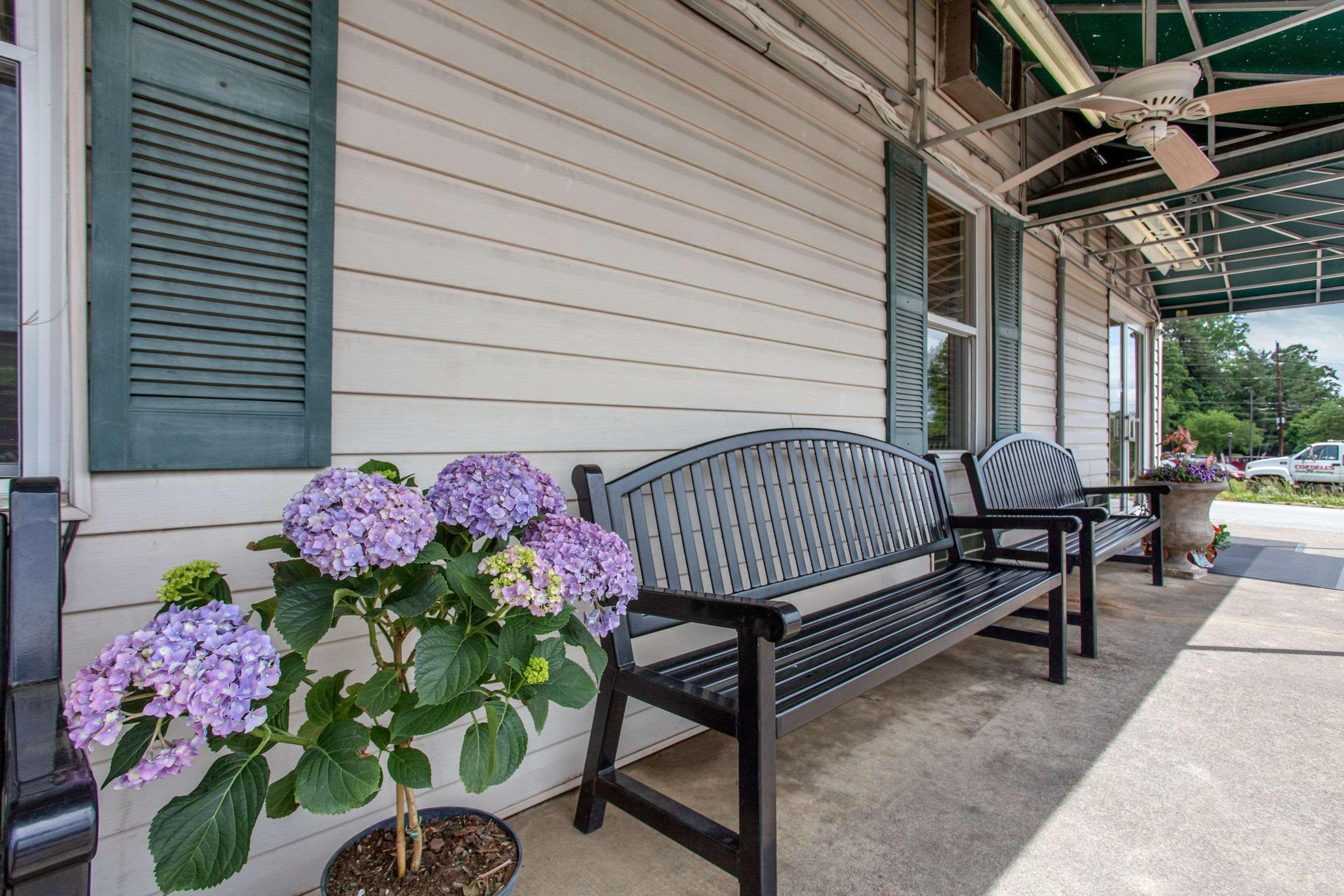 Rodeway Inn Asheville Exterior foto